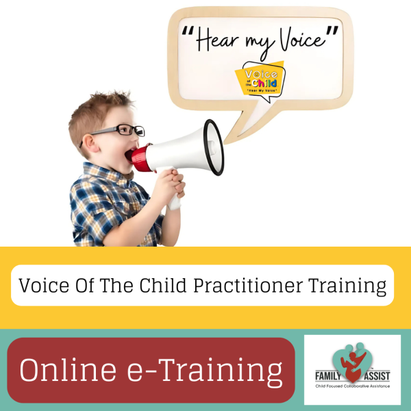 Voice Of The Child Practitioner Training (Theory)